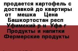 продается картофель с доставкой до квартиры  от 1 мешка  › Цена ­ 25 - Башкортостан респ., Уфимский р-н, Уфа г. Продукты и напитки » Фермерские продукты   